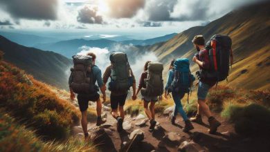 سفر به جنگل