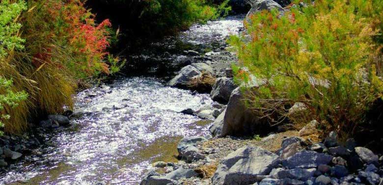 روستای ده لولو