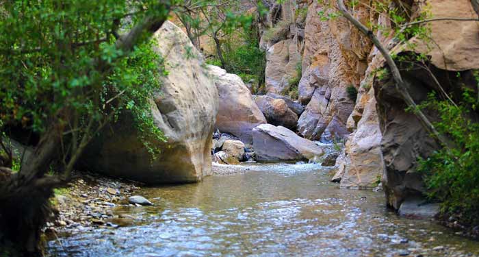 روستای سکنج