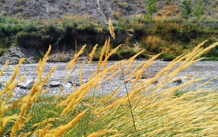 روستای گورچان