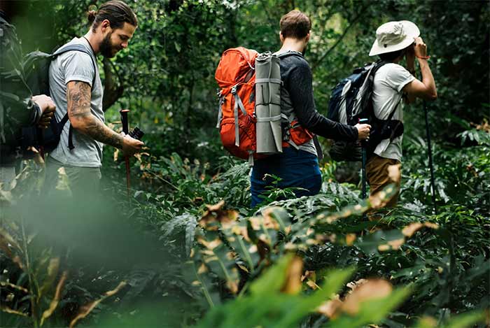 بوم گردشگری 