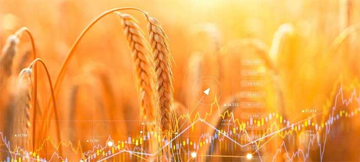 اختلال در واردات نهاده‌های کشاورزی