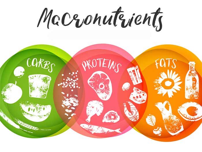 تعادل ماکرونوترینت‌ها